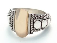 Silver and Gold Ring